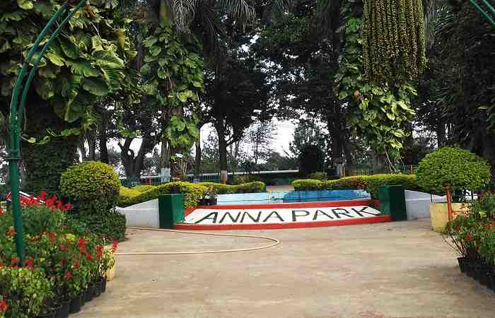 Anna Park