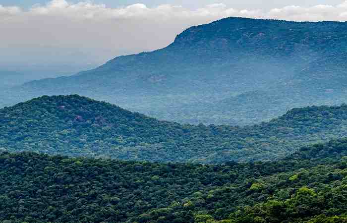 Karadiyur View Point